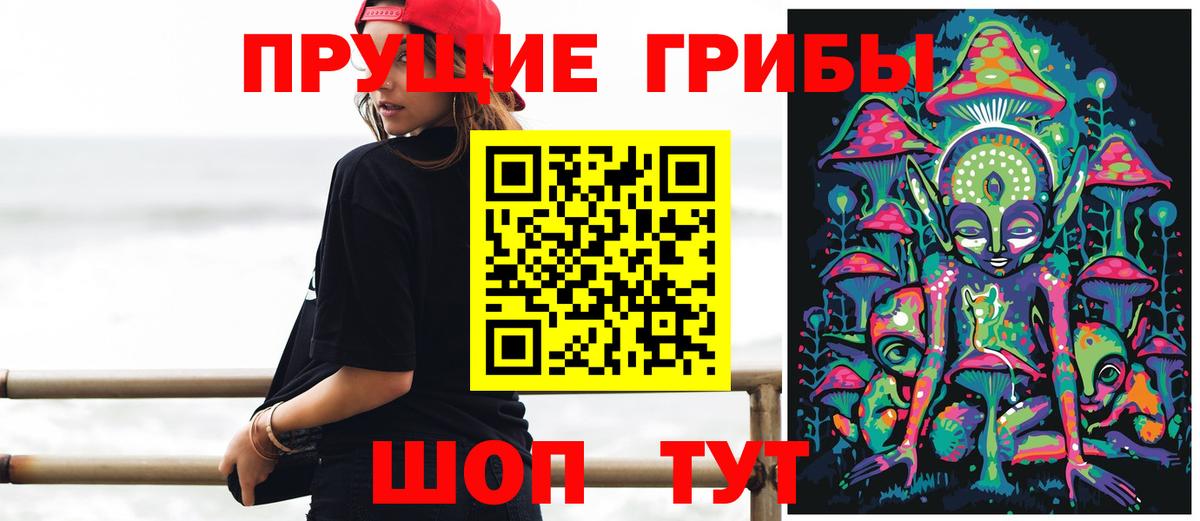 Галлюциногенные грибы Psilocybe Муром